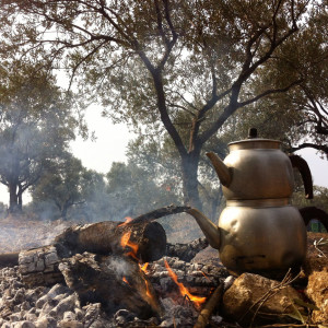 2014 Kasım, zeytin hasadında mola!!!