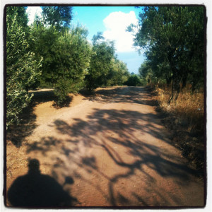 İşe giden yol; akıcı, manzaralı, bol temiz havalı.